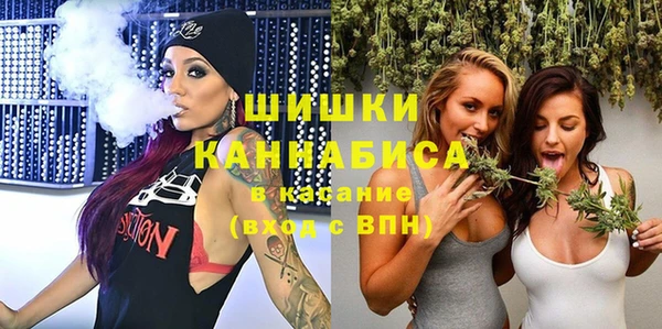 гидропоника Бородино