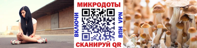 Псилоцибиновые грибы MAGIC MUSHROOMS  Купить где  Похвистнево 